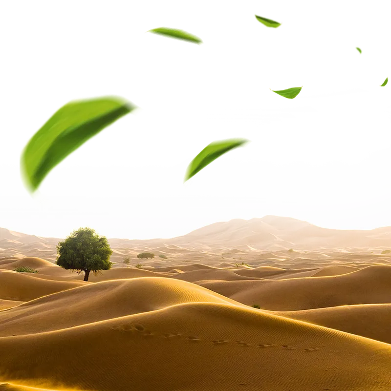 National Geographic Society NATIONAL GEOGRAPHIC, Die schxf6nsten Landschaften unserer Erde The Atlas of Beauty, Frauen der Welt Book, desert, landscape, computer Wallpaper, desert Background png